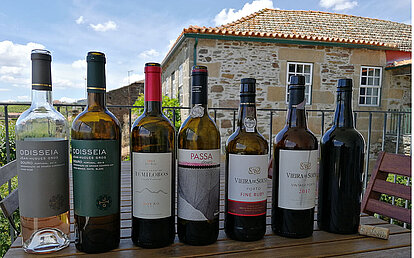 Mesao_Provesende, Wijn- en wandelvakantie in de Douro-vallei