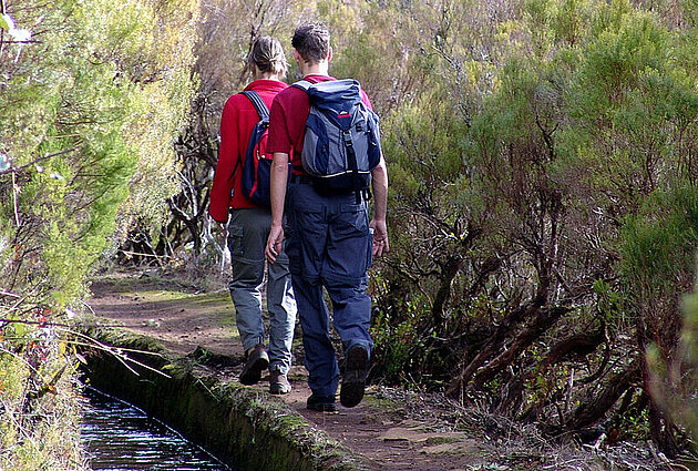 Wandelvakanties op Madeira | Levada_Rabacal