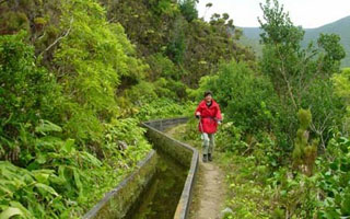 Madeira Wandelen langs de Levadas